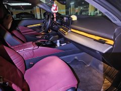 BMW 5 Series 530Li Luxury Edition Premium Package - ფოტო 11