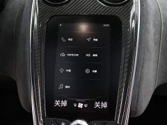 McLaren GT 2019 4.0T Standard - ფოტო 14