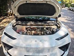 Chery Shuyuanjia 2024 512km Leyou Edition - ფოტო 19