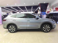 BYD Song Plus New Energy EV Glorious Edition 520km Luxury - ფოტო 13