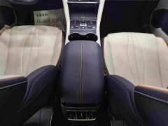BYD Song Plus New Energy EV Glorious Edition 520km Luxury - ფოტო 9