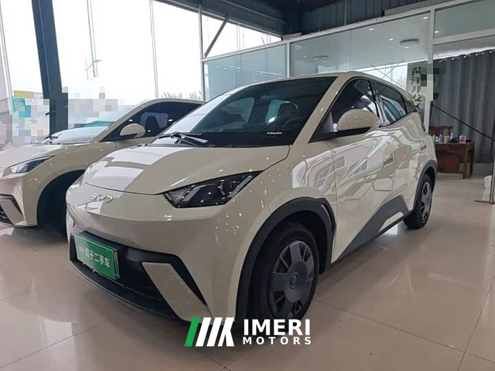 BYD Seagull Glory Edition 305km Vitality Version - ავტომობილი ჩინეთიდან