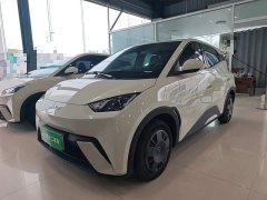BYD Seagull Glory Edition 305km Vitality Version - ფოტო 1