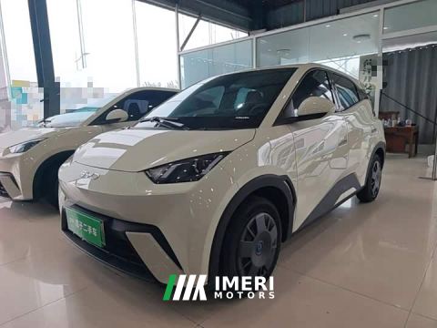 2024 BYD Seagull Glory Edition 305km Vitality Version