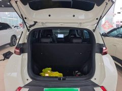 BYD Seagull Glory Edition 305km Vitality Version - ფოტო 18