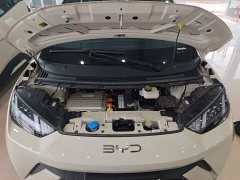 BYD Seagull Glory Edition 305km Vitality Version - ფოტო 19