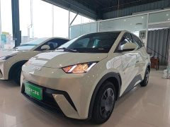 BYD Seagull Glory Edition 305km Vitality Version - ფოტო 2