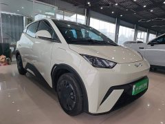 BYD Seagull Glory Edition 305km Vitality Version - ფოტო 3