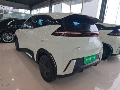 BYD Seagull Glory Edition 305km Vitality Version - ფოტო 4