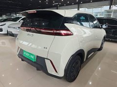 BYD Seagull Glory Edition 305km Vitality Version - ფოტო 6