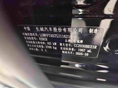 Tank 300 2025 2.0T Gasoline Conqueror - ფოტო 13