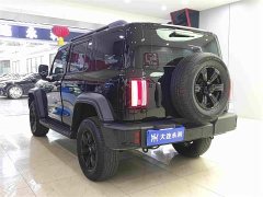 Tank 300 2025 2.0T Gasoline Conqueror - ფოტო 16