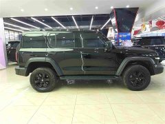 Tank 300 2025 2.0T Gasoline Conqueror - ფოტო 17