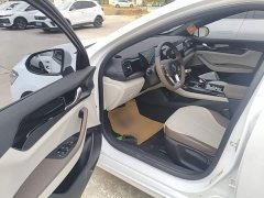 BYD Qin PLUS Glory Edition DM-i 55KM Leading - ფოტო 15