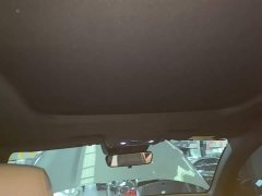 BYD Song Pro New Energy DM-i 110KM Glory Edition Exceed - ფოტო 17