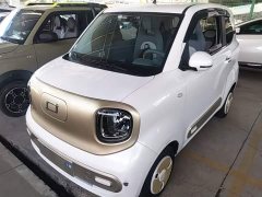 FAW Besturn Xiaoma 222km Lightning Edition - ფოტო 1