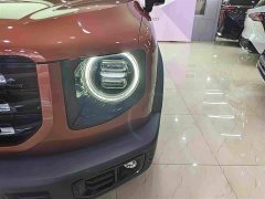 Great Wall Dachshund Facelift 2.0T DCT Four-wheel Drive Xiaotian Dog Edition - ფოტო 12