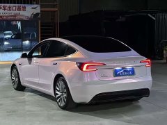 Tesla Model 3 2023 Rear-Wheel Drive - ფოტო 9