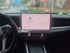 Volkswagen Passat Pro 380TSI Starry Sky Dragon Edition - ფოტო 13
