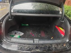 Volkswagen Passat Pro 380TSI Starry Sky Dragon Edition - ფოტო 4