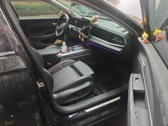 Volkswagen Passat Pro 380TSI Starry Sky Dragon Edition - ფოტო 8