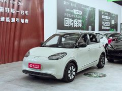 Wuling Binguo 2023 410km Lingxi Premium Edition - ფოტო 1
