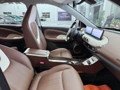 Wuling Binguo 2023 410km Lingxi Premium Edition - ფოტო 17