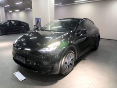Tesla Model Y Rear-Wheel Drive - ფოტო 1