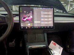 Tesla Model Y Rear-Wheel Drive - ფოტო 12