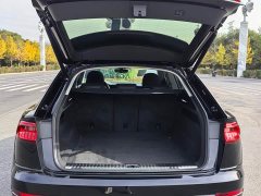 Audi Q8 45 TFSI Luxury Dynamic Edition - ფოტო 11