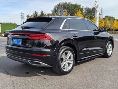 Audi Q8 45 TFSI Luxury Dynamic Edition - ფოტო 12
