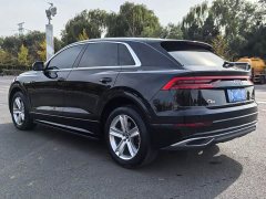 Audi Q8 45 TFSI Luxury Dynamic Edition - ფოტო 13