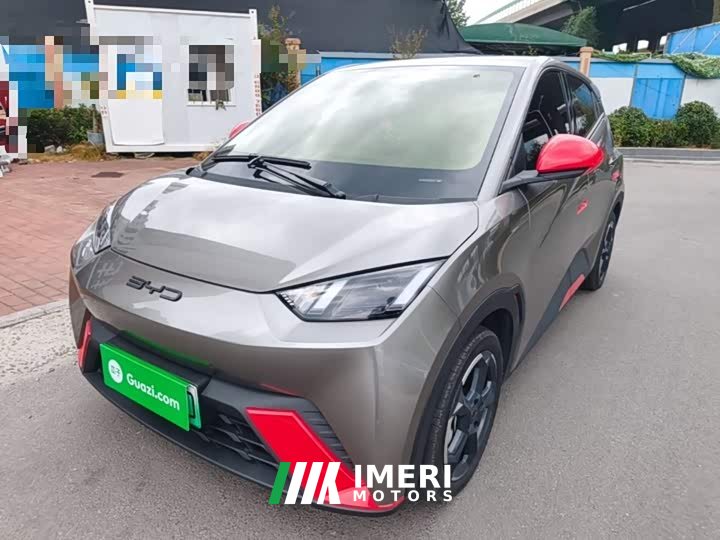BYD Seagull 2023 Freedom Edition - ავტომობილი ჩინეთიდან