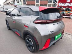 BYD Seagull 2023 Freedom Edition - ფოტო 4