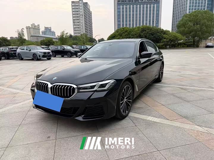 BMW 5 Series 530Li Premier M Sport Package - ავტომობილი ჩინეთიდან