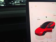 Tesla Model 3 Rear-Wheel Drive - ფოტო 13