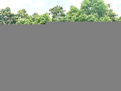 Buick Excelle 2021 Facelift Classic 1.5L Automatic Elite - ფოტო 5