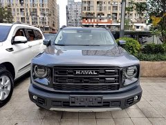 Great Wall Dachshund 2026 1.5T DCT Border Collie Edition - ფოტო 2