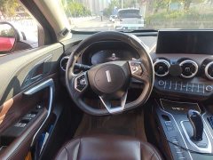 Great Wall WEY VV7 2020 2.0T Flagship - ფოტო 2