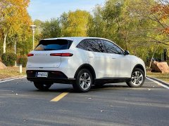FAW Yueyue 03 565km Joy Edition - ფოტო 11