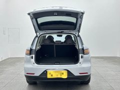 Leapmotor Leapo C11 Pure Electric 500 Comfort Edition - ფოტო 15