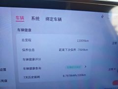 Dongfeng Nano 01 330 Plus Smart - ფოტო 8