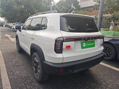 Great Wall Dachshund 2.0T DCT Chinese Rural Dog Edition - ფოტო 4