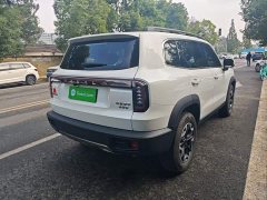 Great Wall Dachshund 2.0T DCT Chinese Rural Dog Edition - ფოტო 6