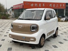 FAW Besturn Xiaoma 222km Auspicious Edition - ფოტო 1