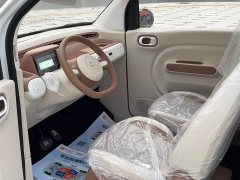 FAW Besturn Xiaoma 222km Auspicious Edition - ფოტო 4