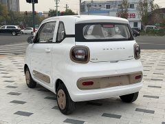 FAW Besturn Xiaoma 222km Auspicious Edition - ფოტო 9