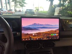 Leapmotor Leapo C11 Pure Electric 580 Premium Edition - ფოტო 5