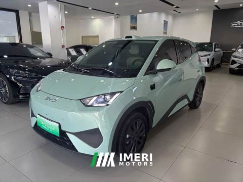 2026 BYD Seagull 305km Freedom Edition