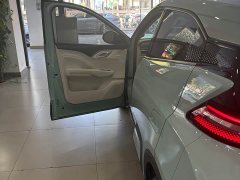BYD Seagull 305km Freedom Edition - ფოტო 10